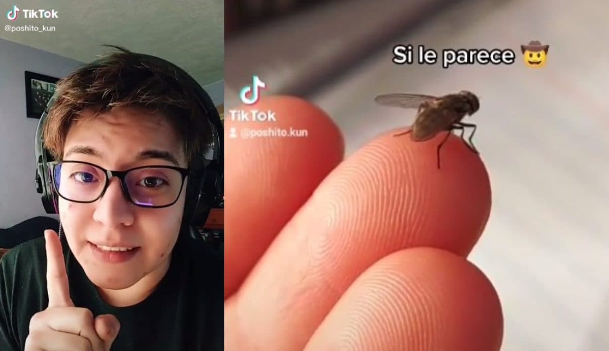 Moscardo pasó a mejor vida
