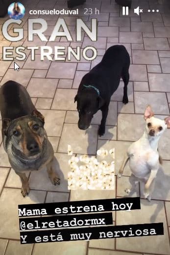 Los perrhijos de Consuelo Duval
