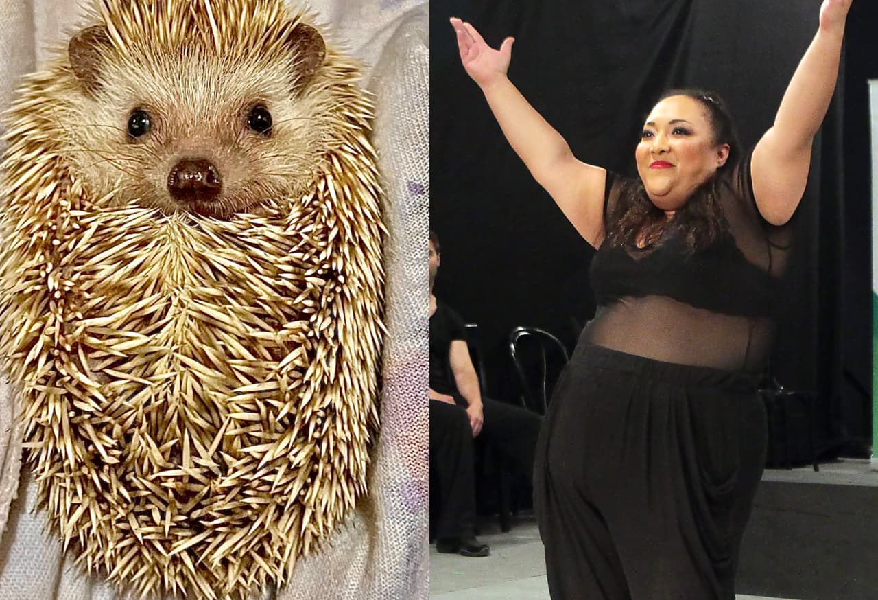Michelle Rodríguez se suma a reto de perritos rockstars y le mandan fotos imperdibles