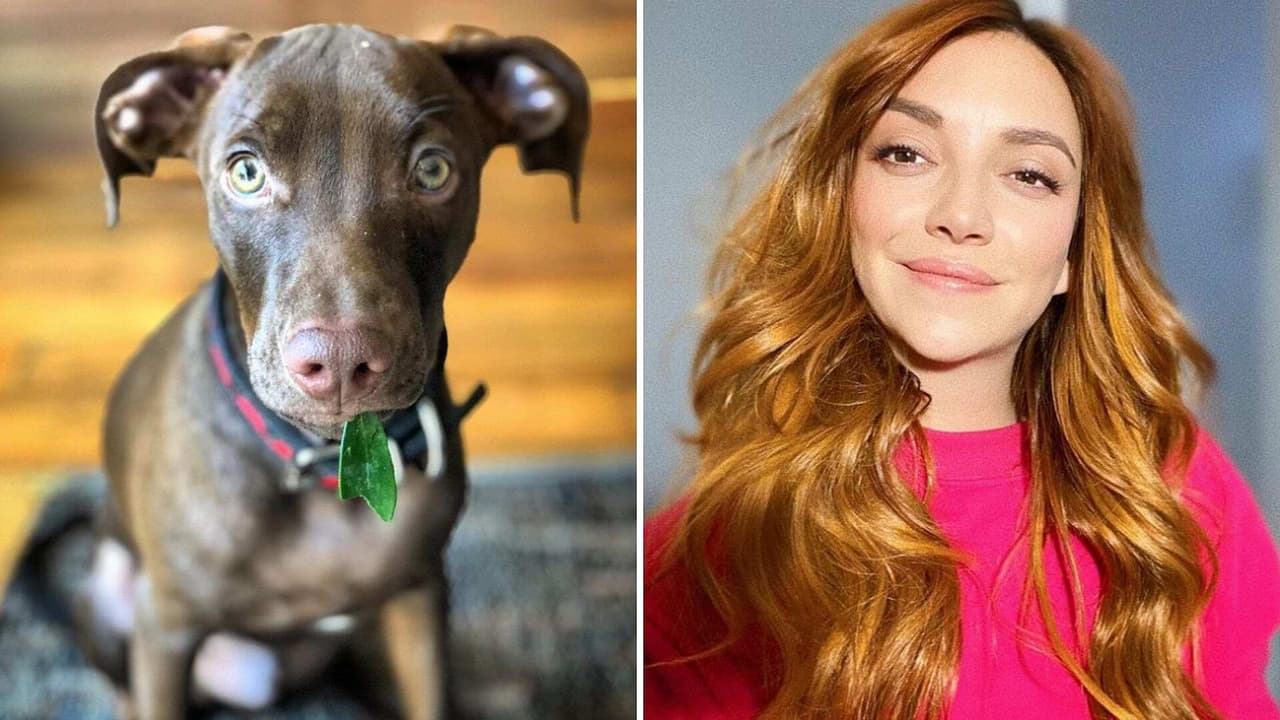 Regina Blandón se conmueve al ver a su perrito estrenar su gorrito para el frío
