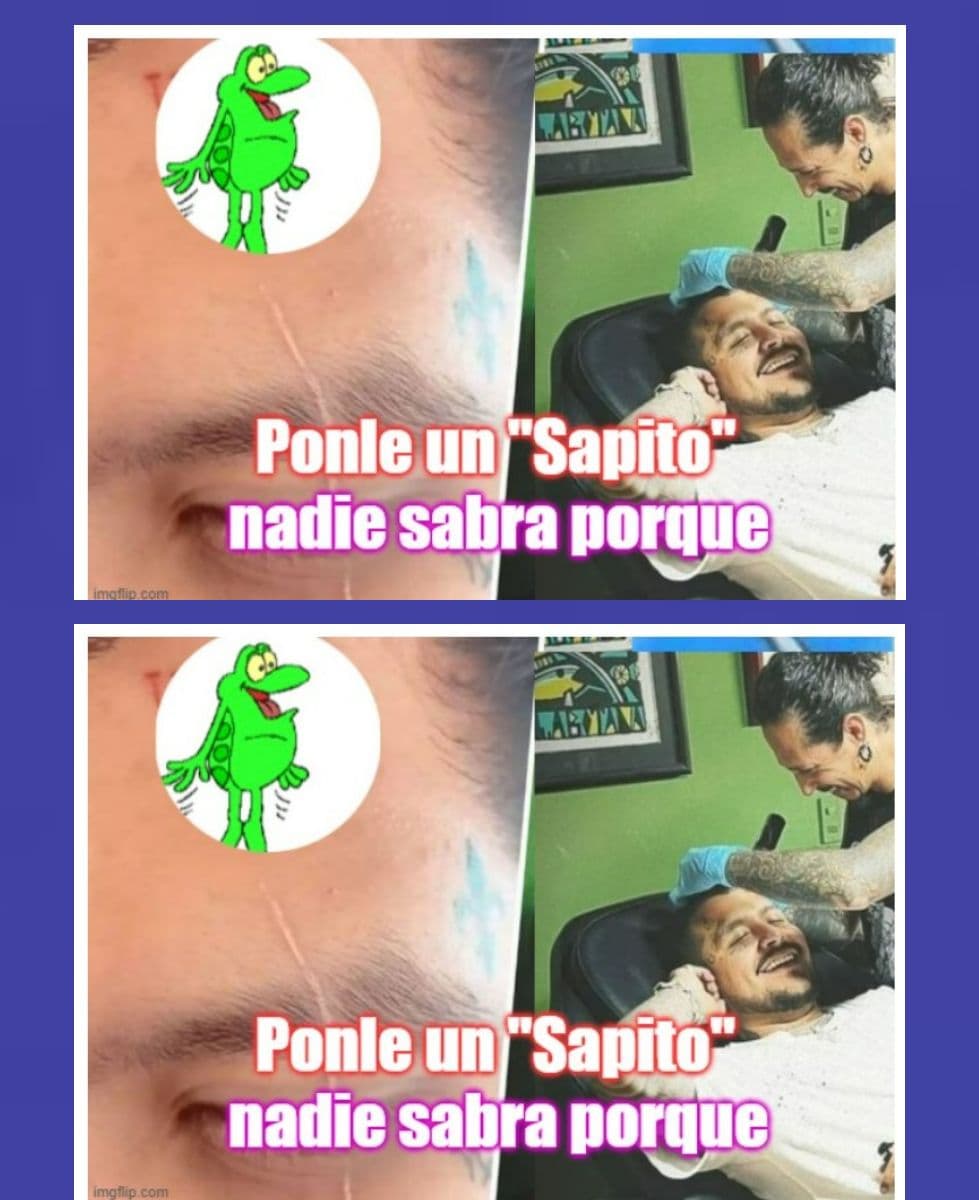 Un sapito tapa todo.
