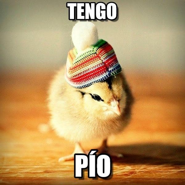 Memes del frío