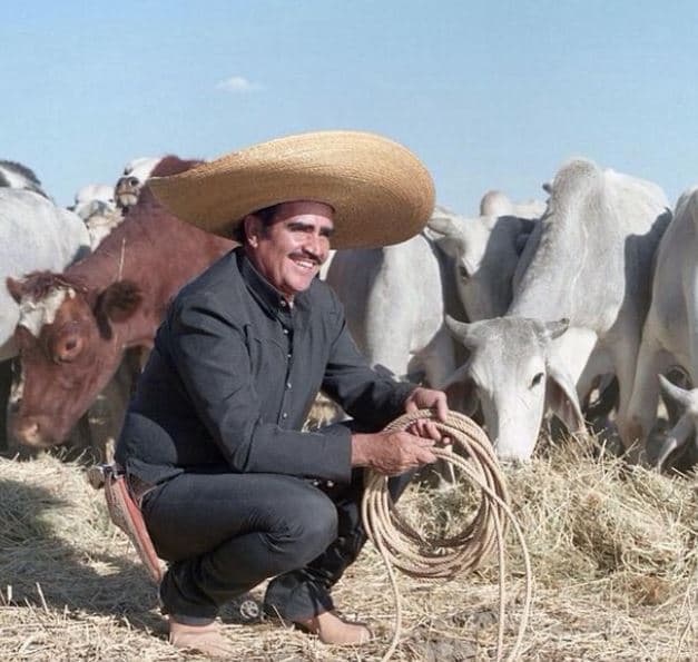 Don Vicente Fernández