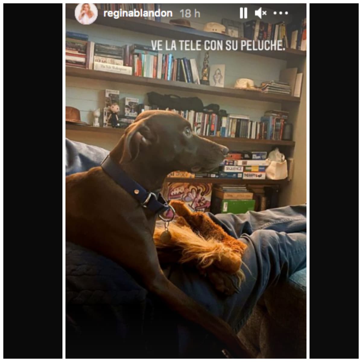 Peperius Maximus, la tierna mascota de Regina Blandón