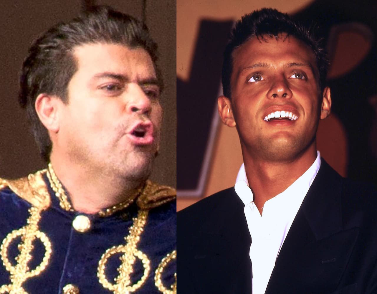 El burro y el cantante