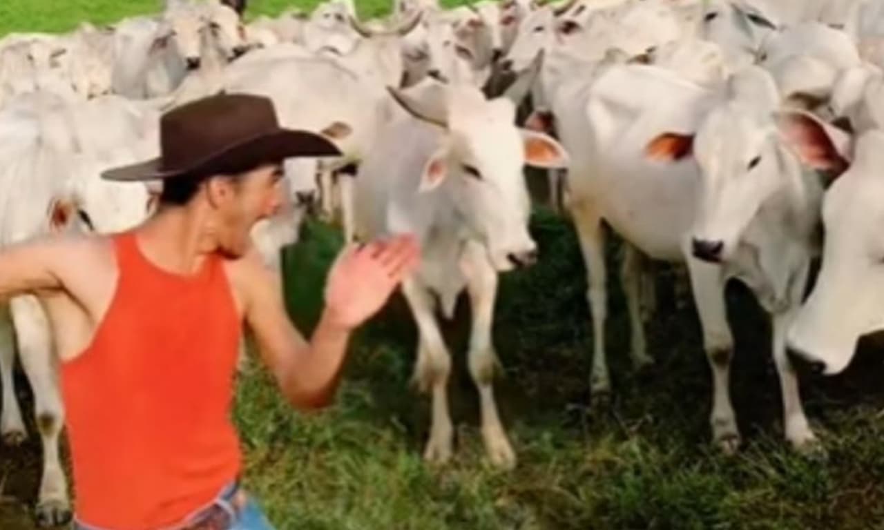 Viral: Joven baila para TikTok pero hace enojar a mucho una vaca loca