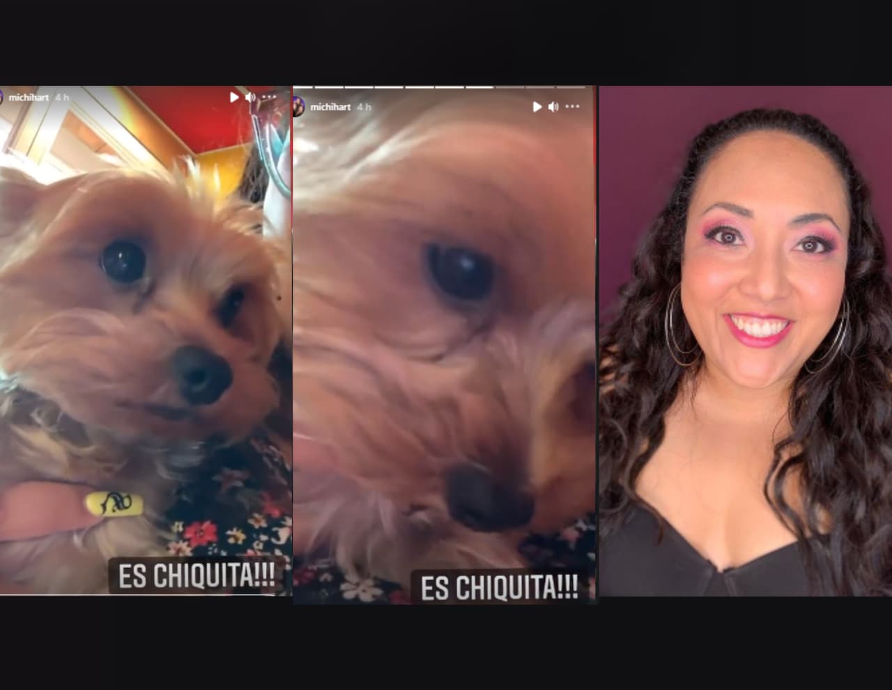 Amy, la perrita consendita de Toña