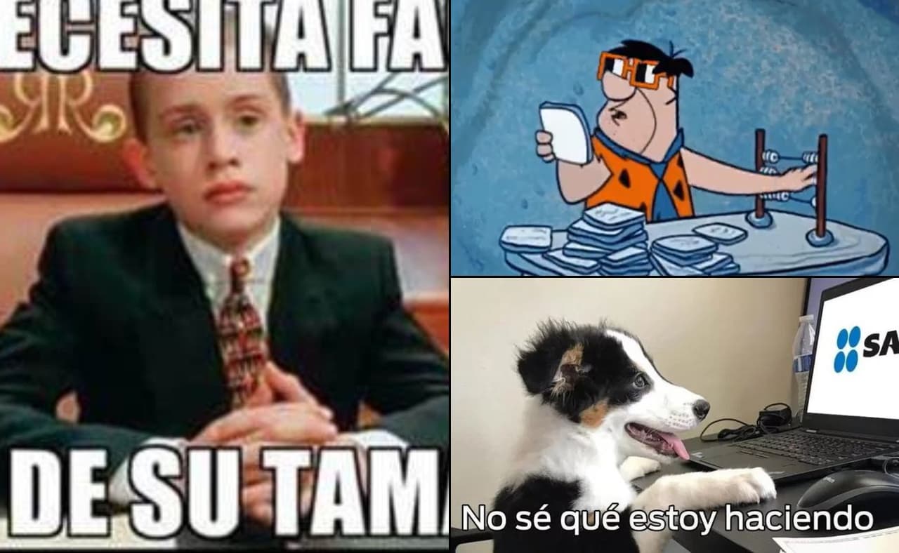 Memes: Celebra el Día del Contador con algunas risas