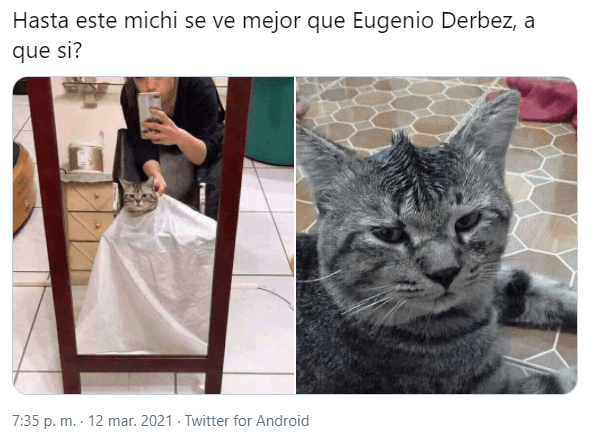 memes-eugenio-derbez-corte-6-1
