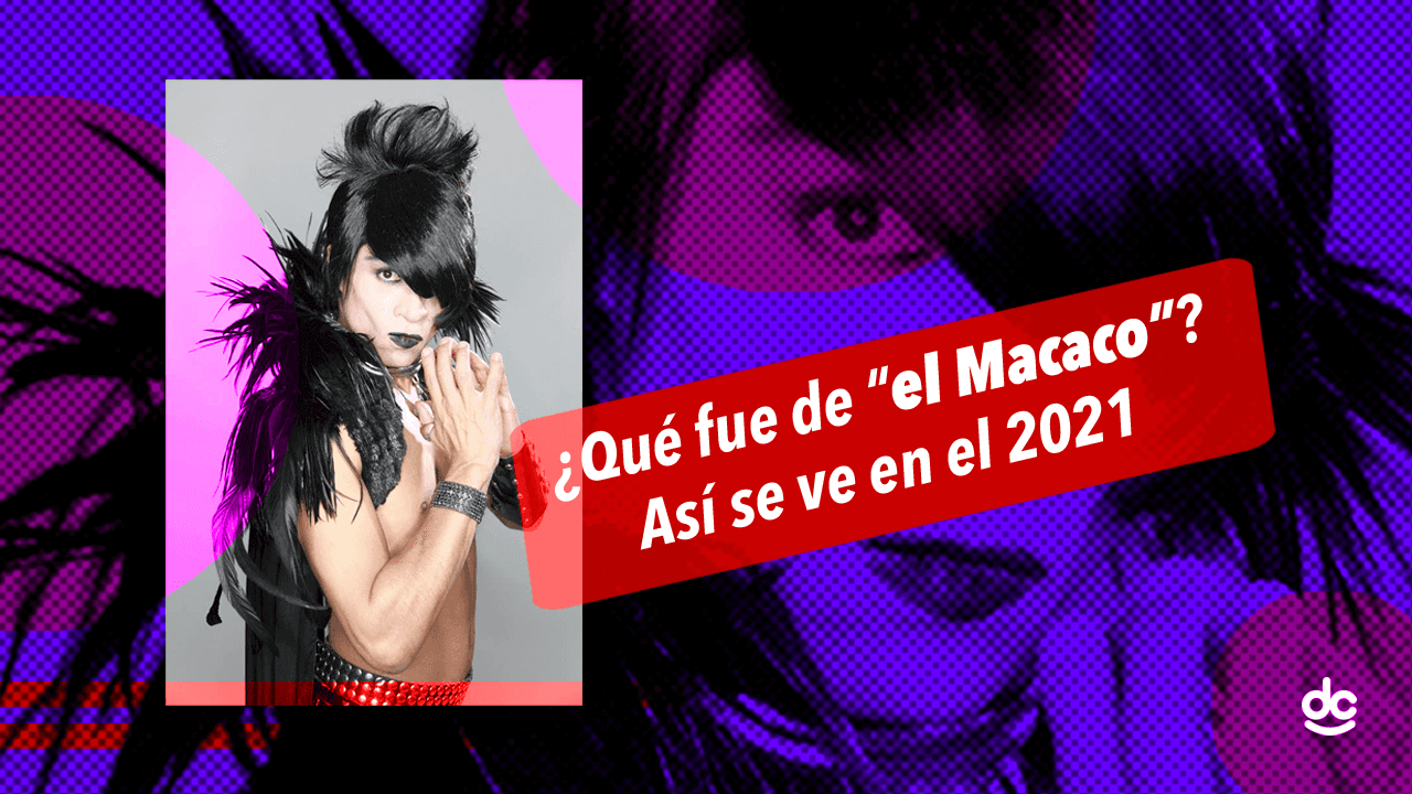 Macaco en el 2021