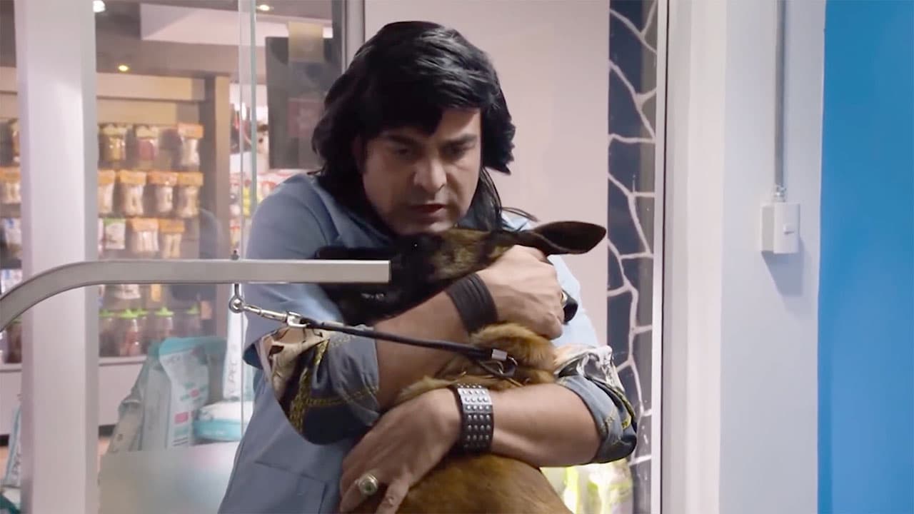 Nosotros los guapos: Vítor y Albertano entran a trabajar en una veterinaria