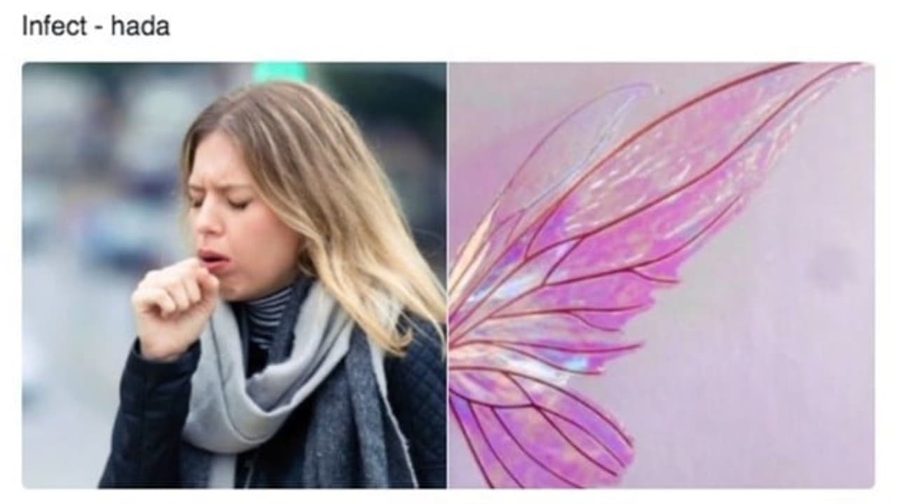 5 grandes momentos del meme de las alas de hada