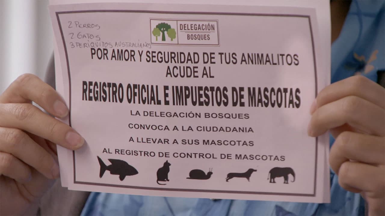 Burócratas: El nuevo impuesto