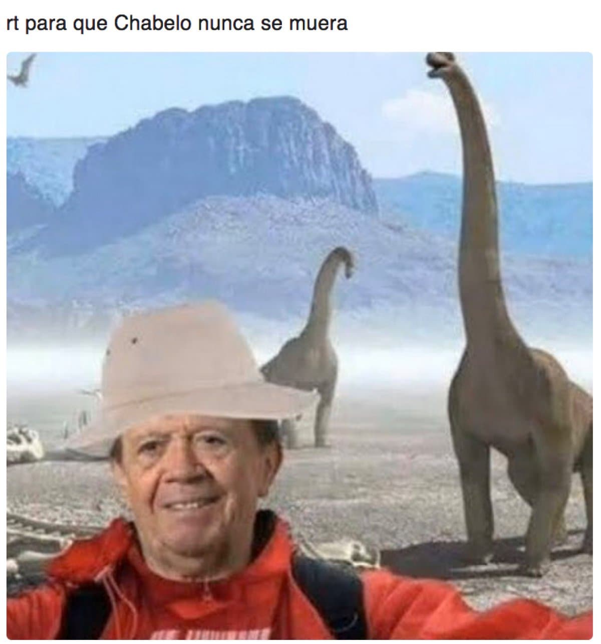 chabelo-d