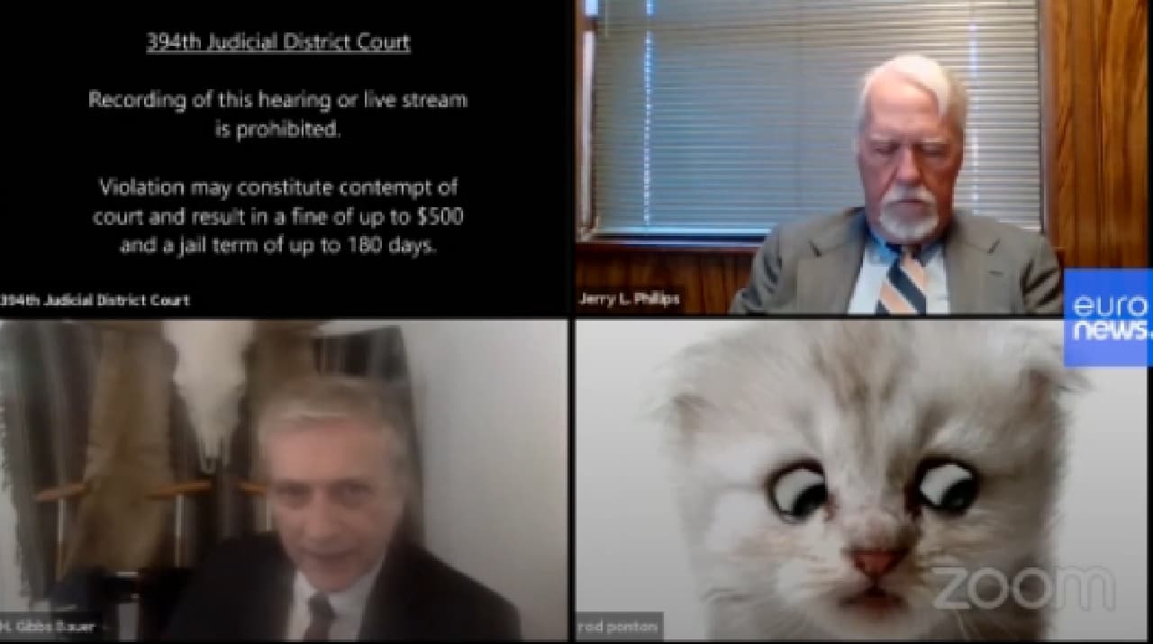 Gato en zoom con abogados hace reír a la gente
