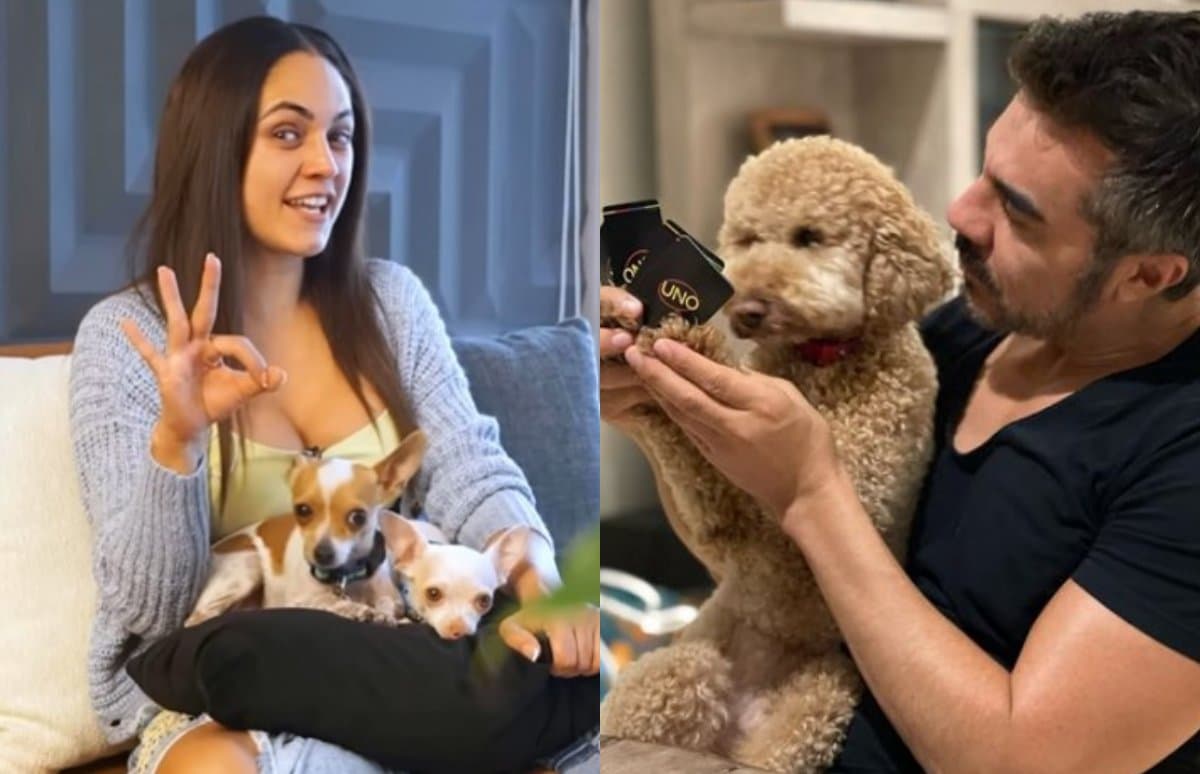 Día del Perro: Estos son los adorados “peluditos” de los comediantes