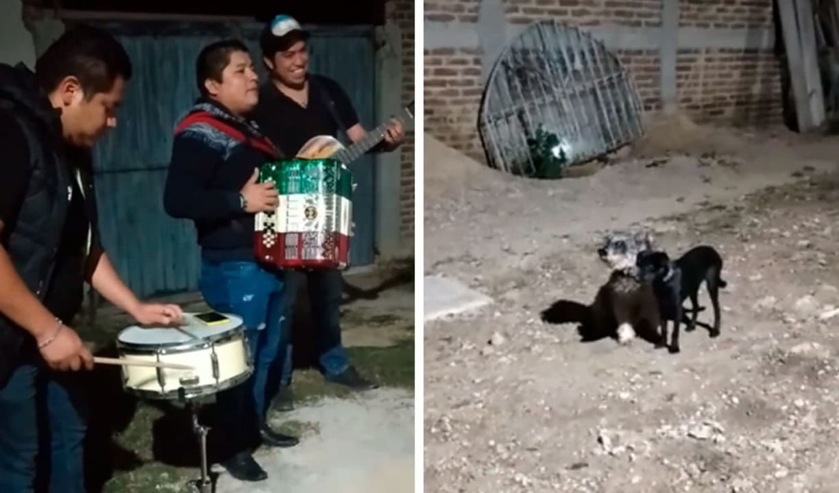 Perrito.
