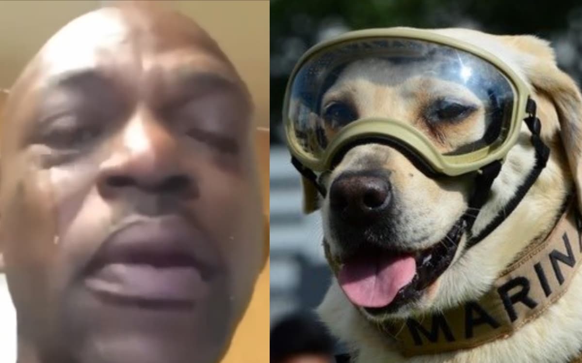 Este 15 de noviembre dieron a conocer que esta heroína de 4 patitas ya no está con nosotros.
