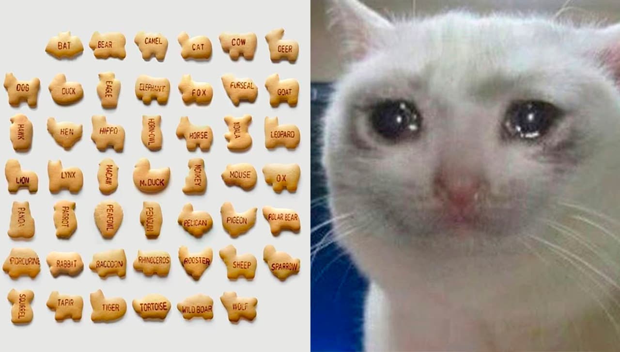 formas de las galletas de animalitos