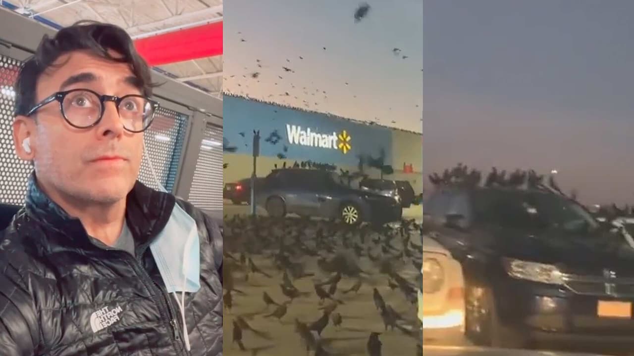 Adal Ramones ‘atrapado’ en su auto como en una película de terror