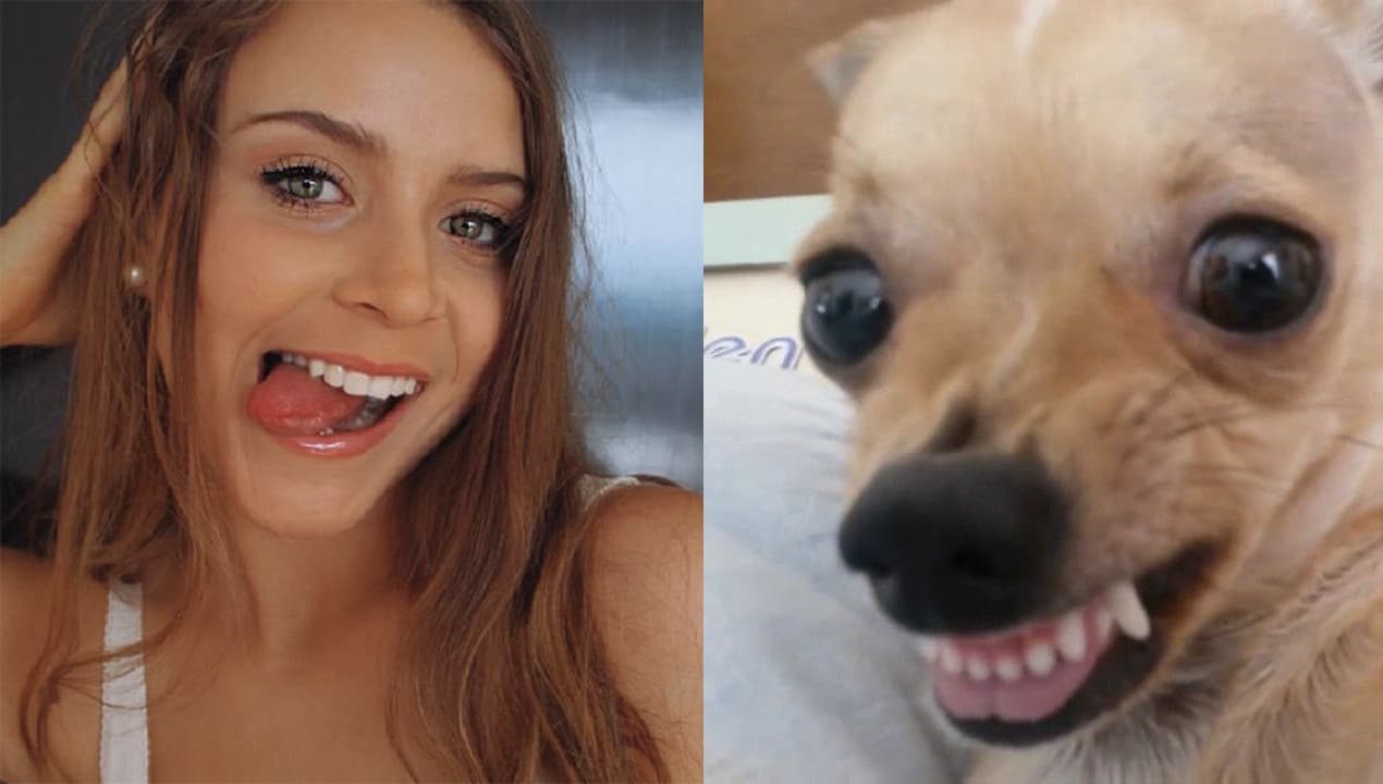 Los mejores memes contra la tiktokera Paris Danielle