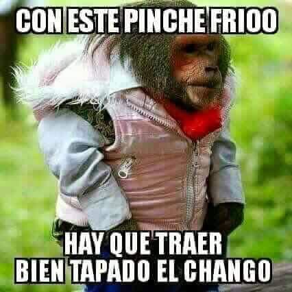 Memes del frío