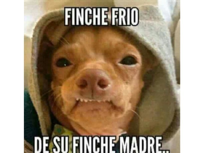 Memes del frío
