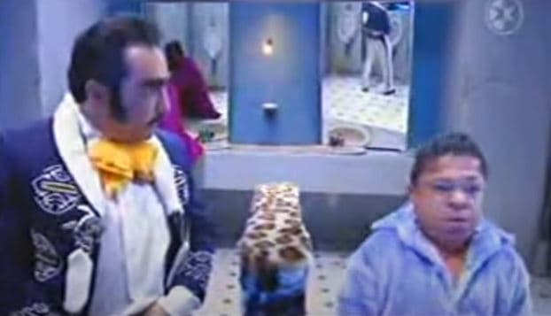 Don Peluchente