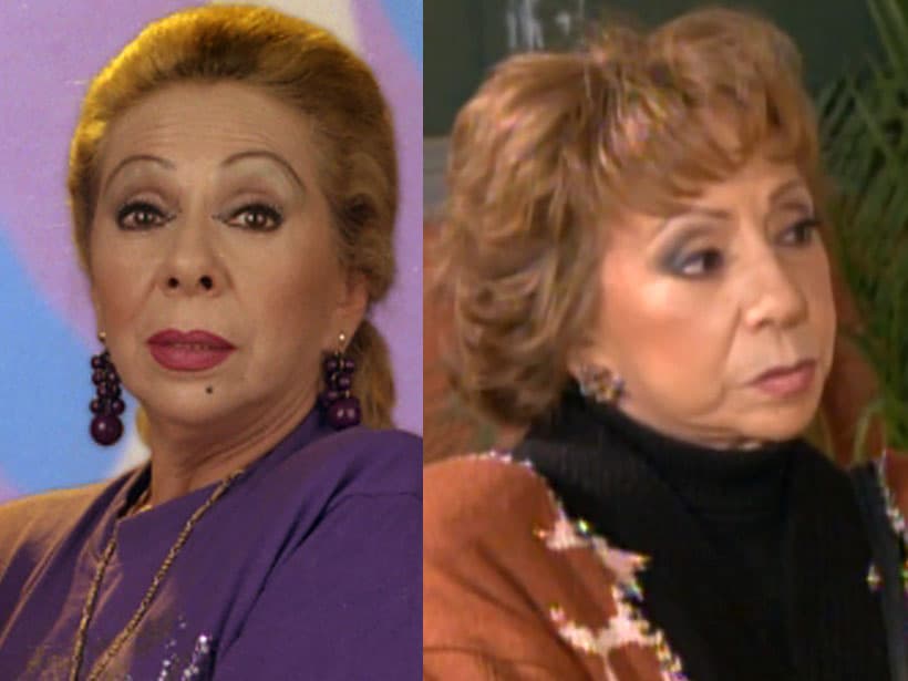 En la serie de comedia, interpretó a Doña Cata, la suegra del protagonista quen le hacía la vida de cuadritos a su yerno para “apoyar” a su hija Silvina (y, cabe señalar, también conoció a Silvita de Vecinos).