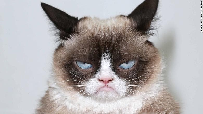 Los mejores memes del martes 13, más efectivos que una pata de conejo