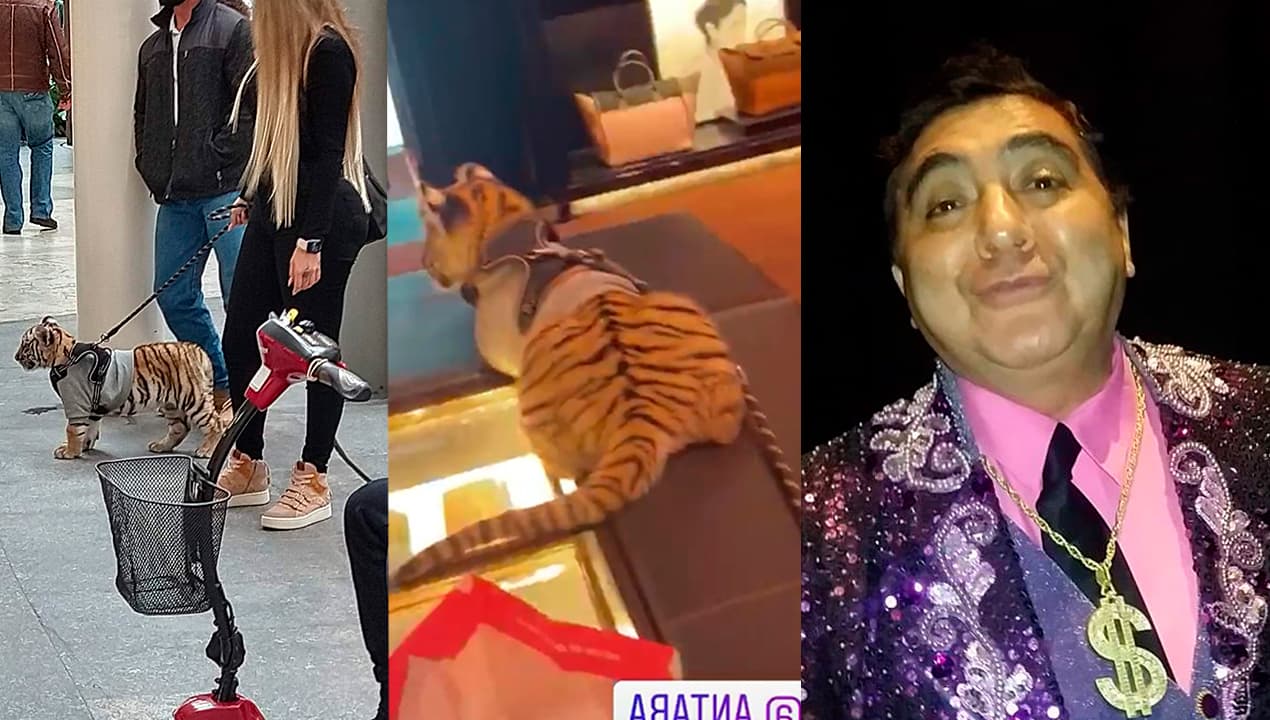pareja con tigre en centro comercial
