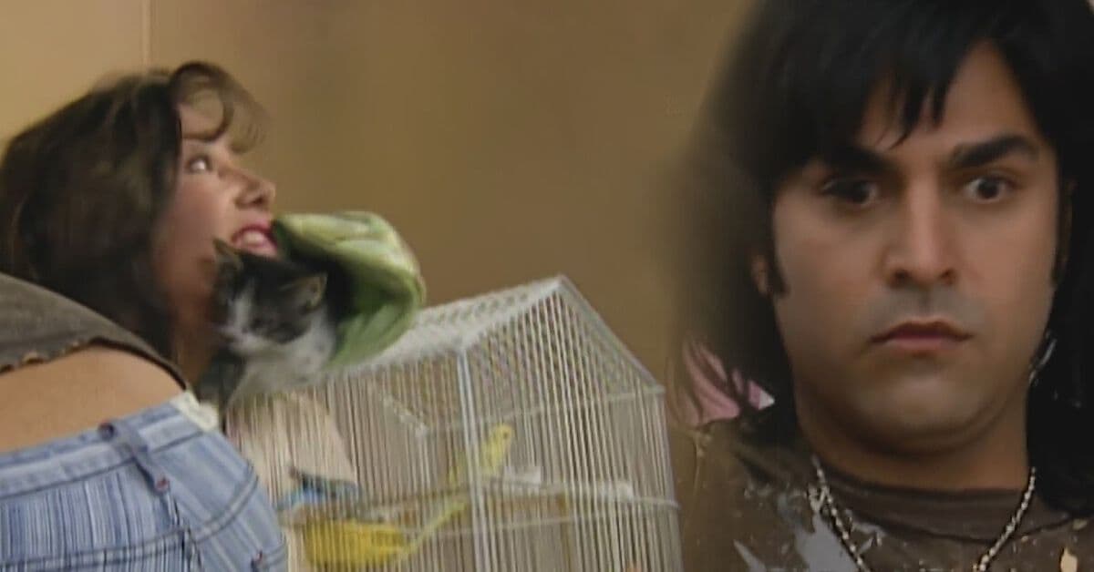 María de Todos los Ángeles rescata a Albertano, un gatito y unos pajaritos
