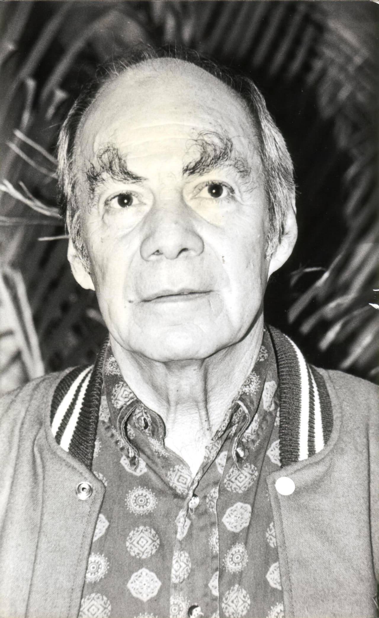 Las cejas del millón