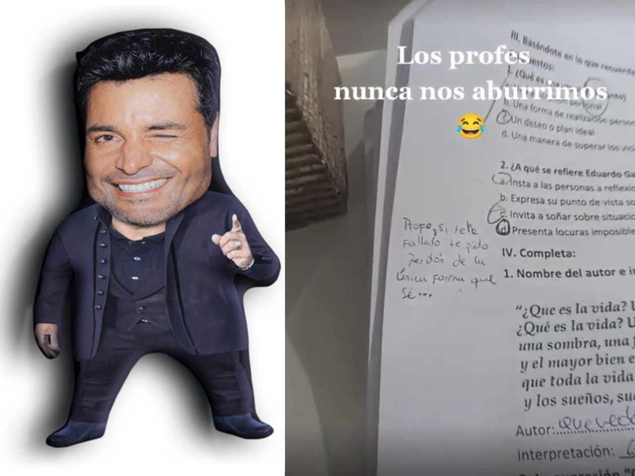 Chayanne tiene muchos fans mexicano.