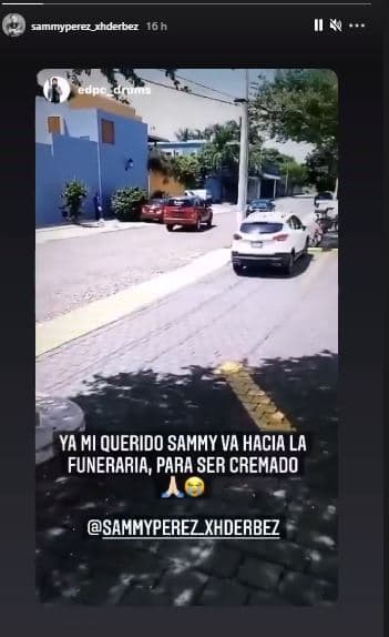 El camino