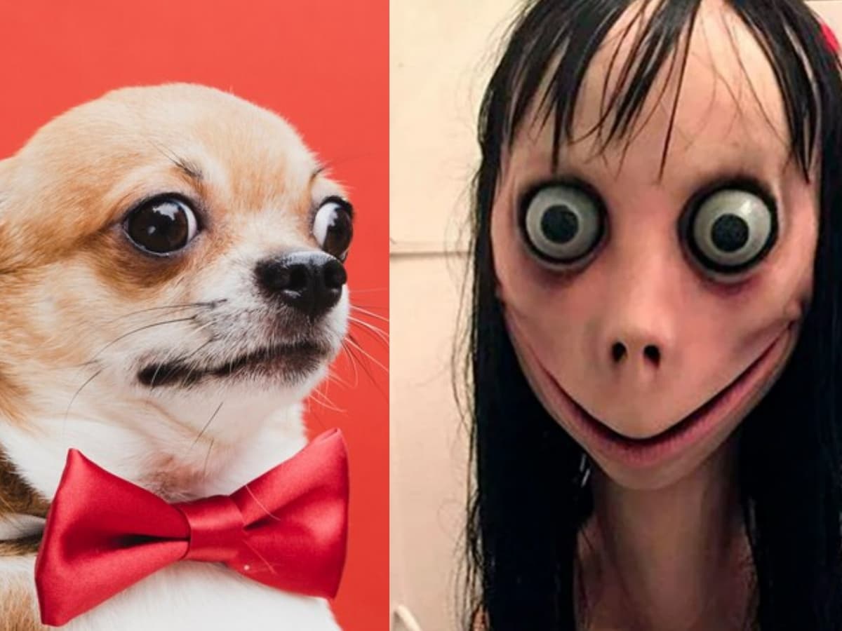 'El meme maldito': la broma de internet que se convirtió en película de terror