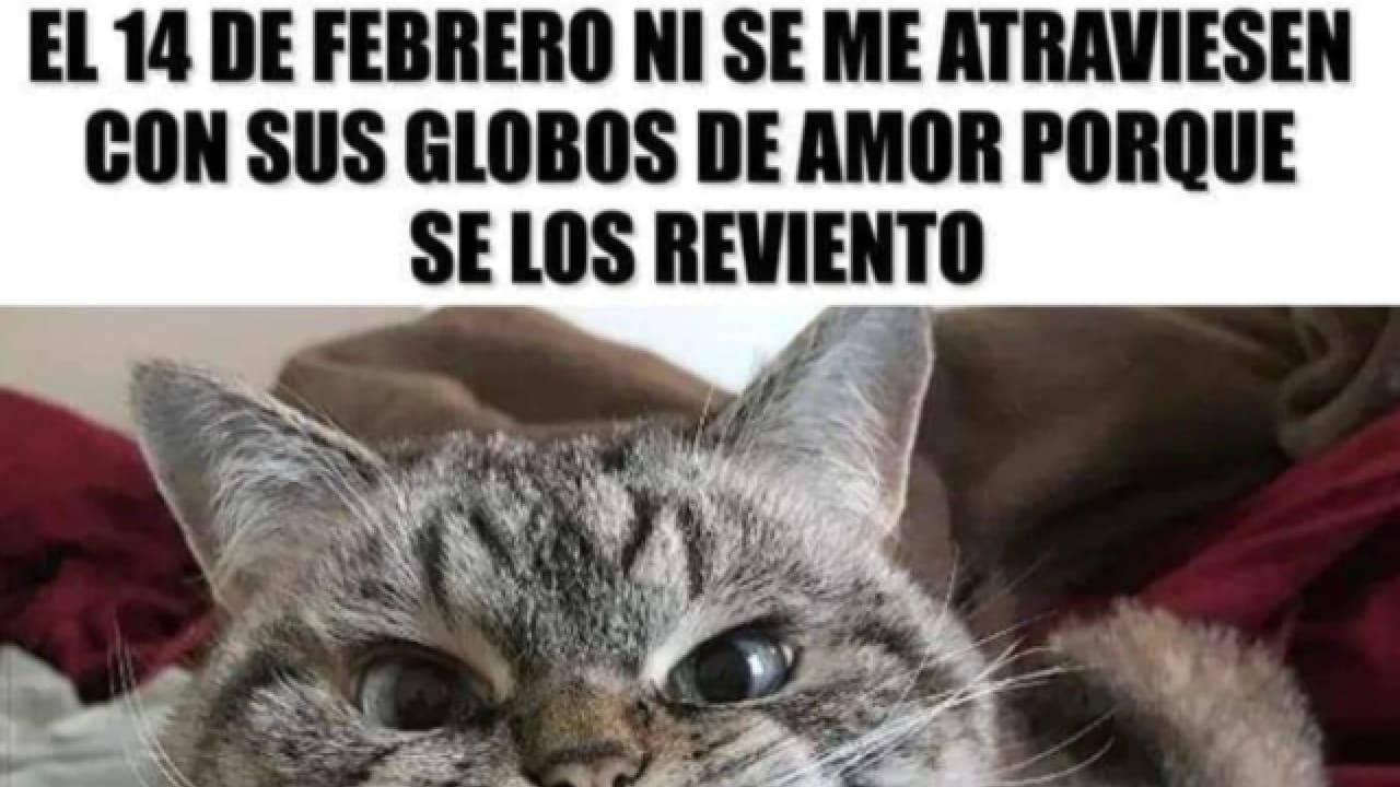 Memes del 14 de febrero