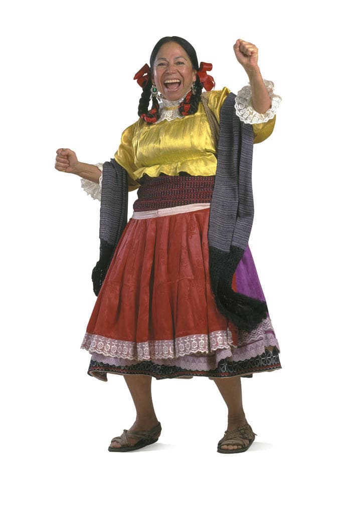 María Elena Velasco, La India María, fue la reina del cine de los años setenta, todas sus películas eran un éxito. Su personaje trascendió el cine y llegó a protagonizar programas de televisión en los noventa.