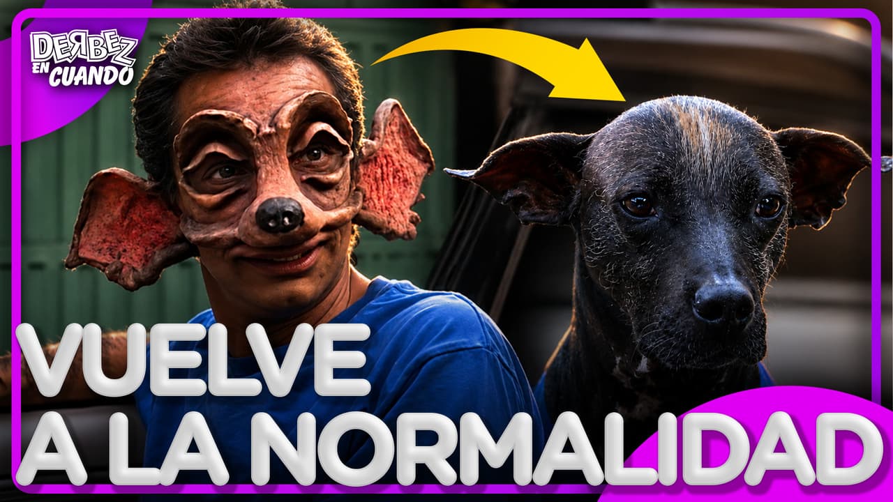 Derbez en Cuando: Perrito Fernández regresa a su estado original y ya tiene novia
