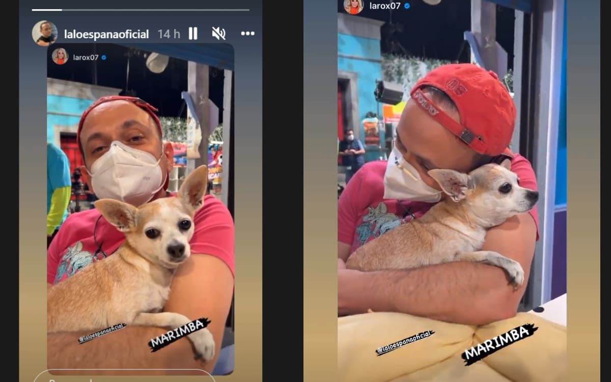 Así fueron grabados por la actriz.