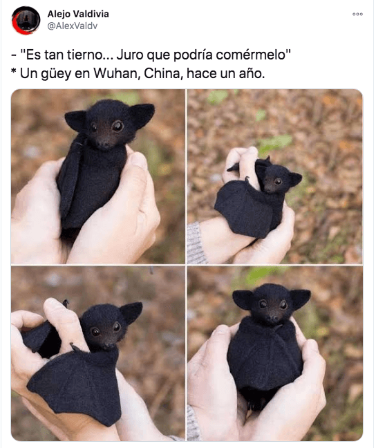 Captura-de-pantalla-2020-11-17-a-las-17.04.42