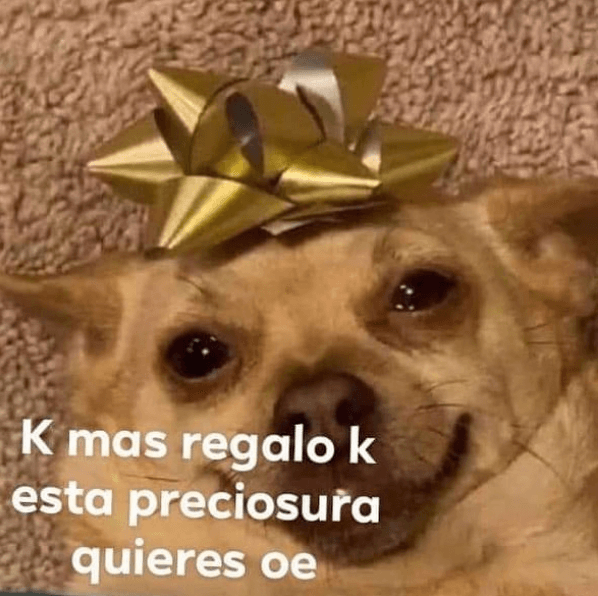 Captura-de-pantalla-2020-12-23-a-las-9.48.30-a.m.
